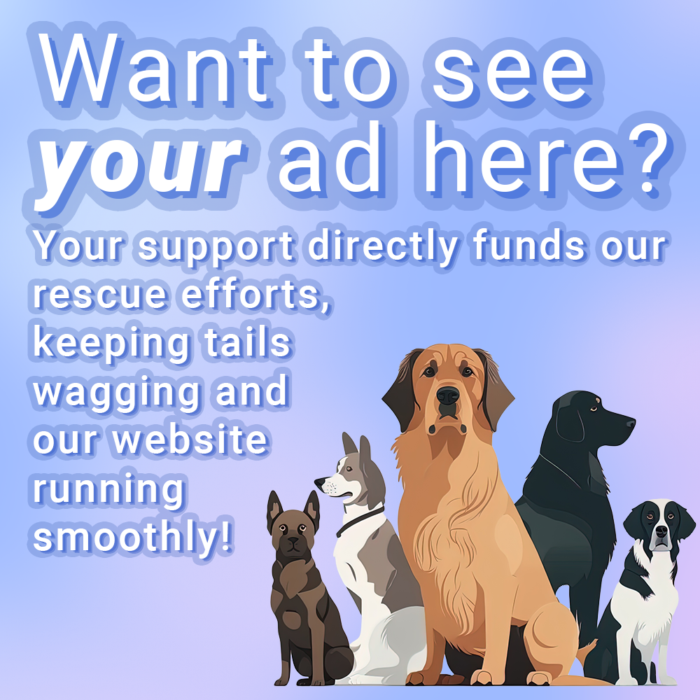 Ads support us so much!